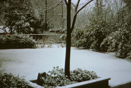 Backyard of Stumpf residence showing snowfall