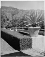 Wright Saltus Ludington residence, view from brick path towards oval reflecting pool, Montecito, 1931