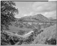 Mountain view with dirt road running through grove of trees, Tehachapi Mountains, 1924-1925