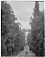 James Waldron Gillespie residence, view towards narrow pool and stairway in cypress allée, Montecito, 1932