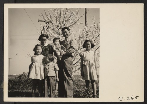 Members of the Mitarai family on their ranch, six weeks prior to evacuation. Evacuees of Japanese ancestry will be housed in War Relocation Authority centers for the duration. Photographer: Lange, Dorothea Mountain View, California