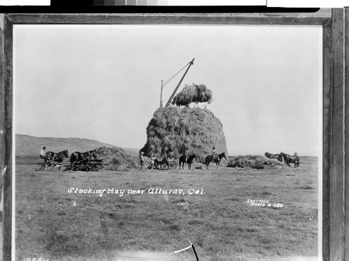 Stacking Hay near Alturas, Cal
