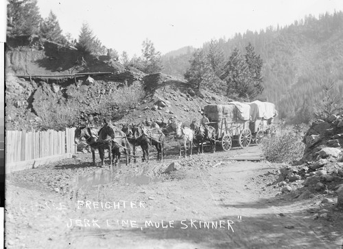 6 Horse Freighter "Jerk Line, Mule Skinner"