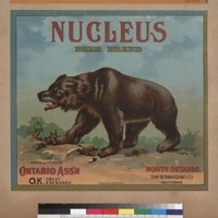 Nucleus Bear Brand, Grown and Packed by Ontario Association