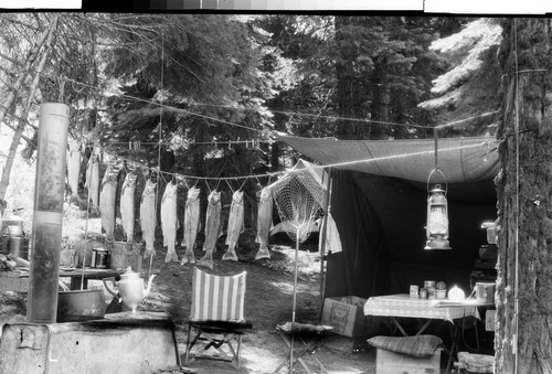 Our Camp at Lake Almanor, Calif