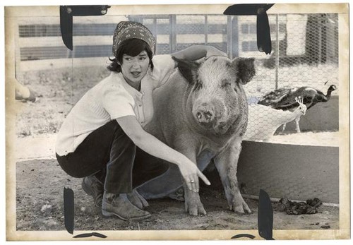 Woman with her arm around a pig, August 1973