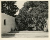 Wright Saltus Ludington residence, view of courtyard with oak tree and fountain, Montecito, 1931