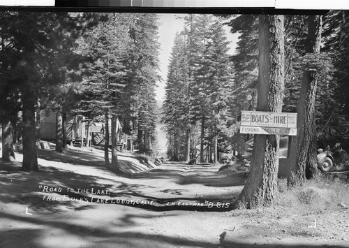 "Road to the Lake," from Buck's Lake Lodge, Calif