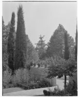W. R. Dunsmore residence, view from west end of rose garden towards terrace, Los Angeles, 1932