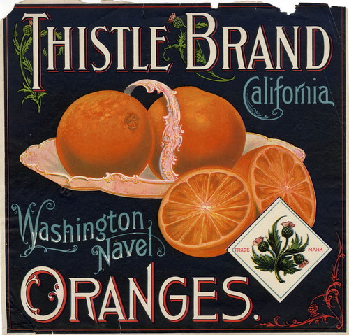 Crate label, "Thistle Brand." Washington Navel Oranges. California