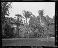 Clinton B. Hale residence, with several palm tree varieties, Santa Barbara, 1912
